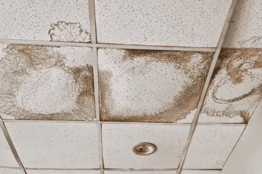 Water-stained acoustic tiles in the drop ceiling of a commercial space after a leak above