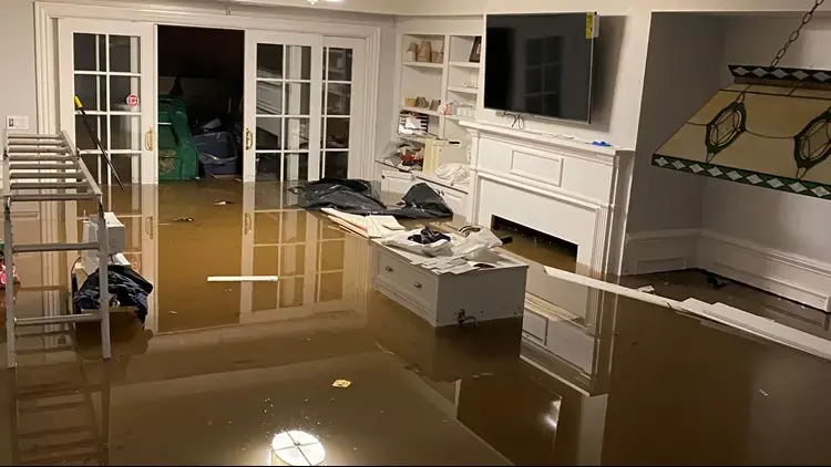 Storm water standing across the floor of a living room with built-in shelves and a fireplace